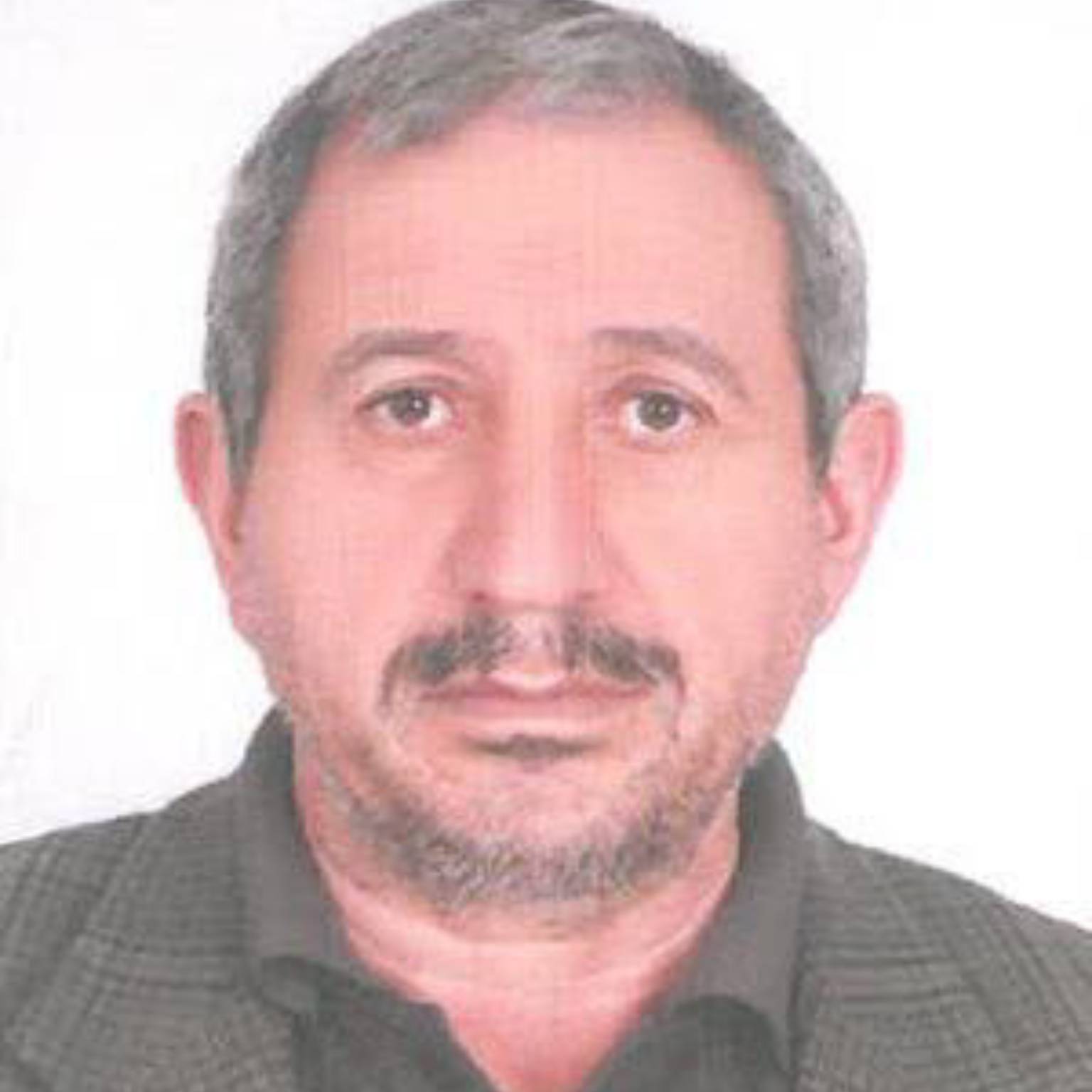 محمد اسلامی 